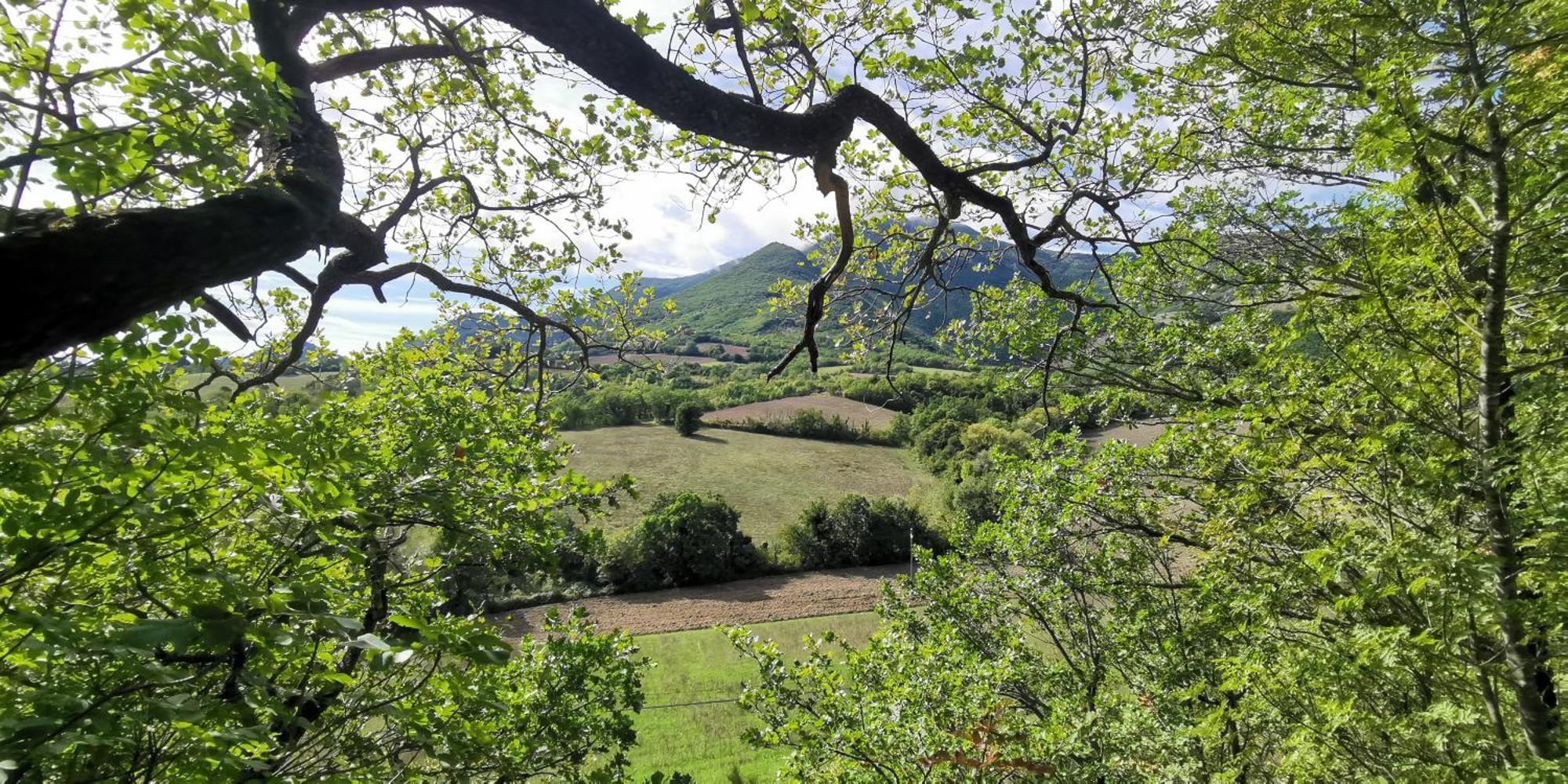 La Casetta Di Gino E Marcella Sassoferrato Exterior foto