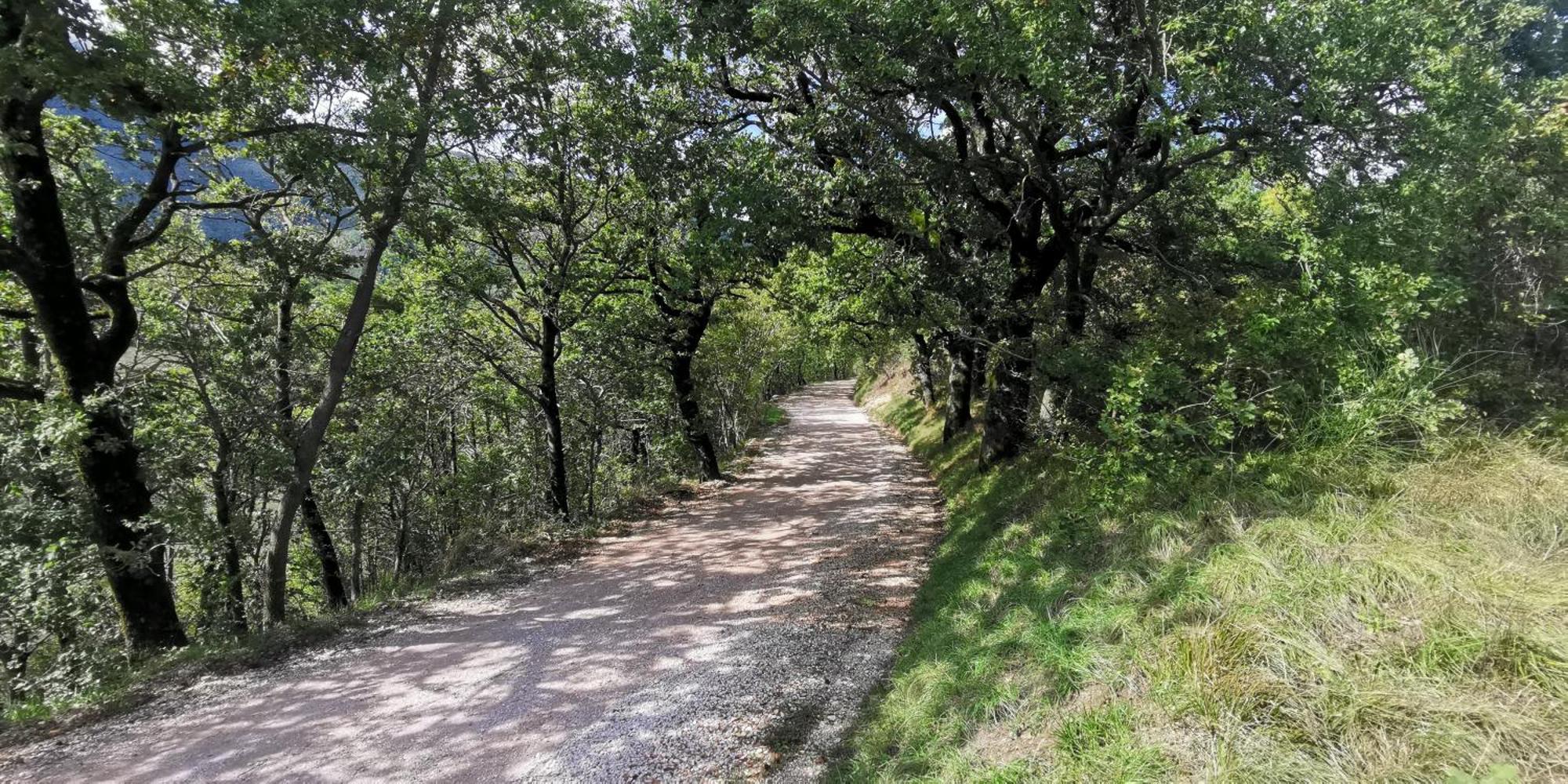 La Casetta Di Gino E Marcella Sassoferrato Exterior foto
